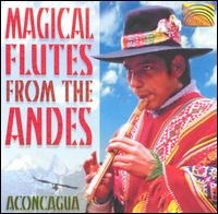 Magical Flutes from the Andes