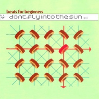 Dont Fly Into The Sun