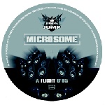 Flight Summer Storm Vinyl