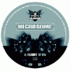 Flight Summer Storm Vinyl